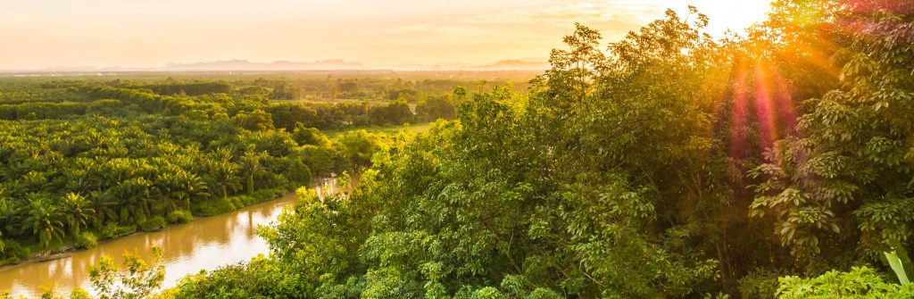 Five ASEAN Carbon Market Associations unite at COP29 to support the ASEAN Common Carbon Framework